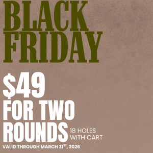 Black Friday Two-Round Winter Punch Card