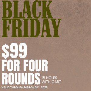 Black Friday Four-Round Winter Punch Card
